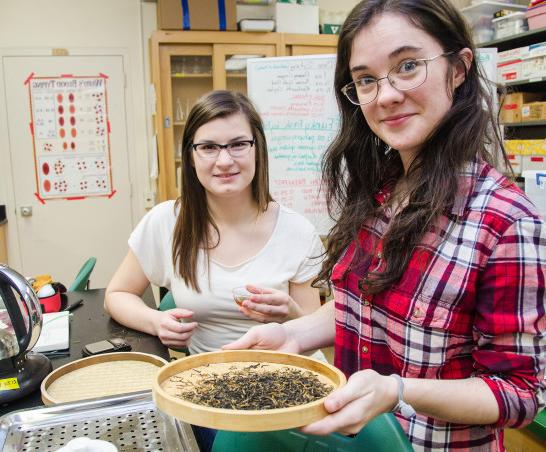 Students learn the science of tea during an on-campus j项 course.