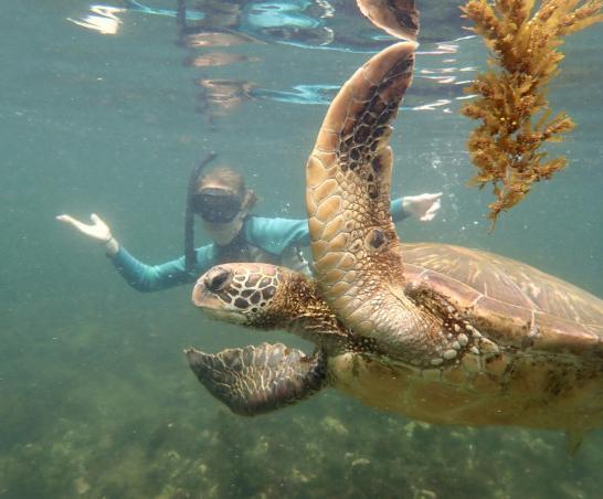 A photo from the 2023 study tour to the Galápagos Islands.