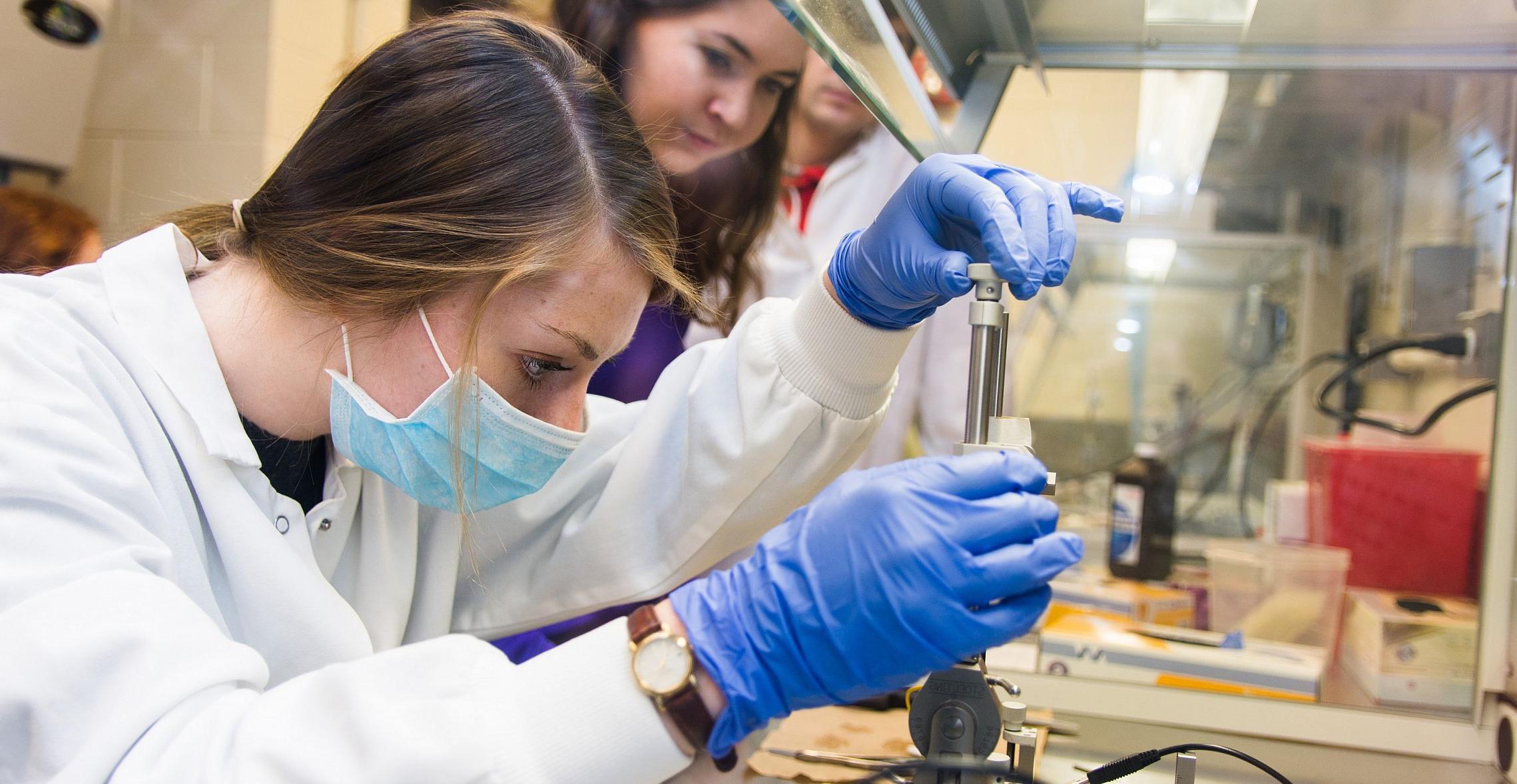 Neuroscience majors perform an experiment in a lab. Earn your neuroscience degree at Carthage College.